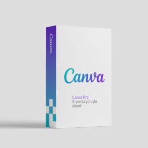 Canva Pro 12 Ay