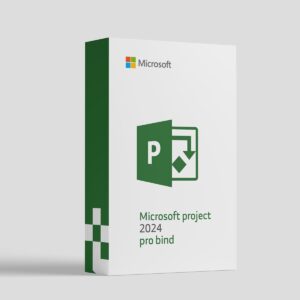 Microsoft Project Pro 2024 Bind Key